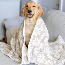 Load image into Gallery viewer, ChappyWrap Fresh as a Daisy Wheat Dog Blanket