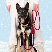 Load image into Gallery viewer, Eggnog Plaid Flannel Collar Walk Set