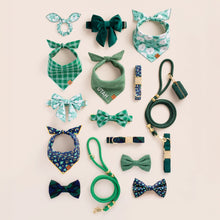 Load image into Gallery viewer, Evergreen Collar Walk Set